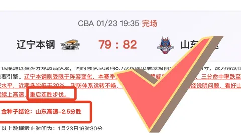 貝林厄姆棄戰德甲決賽真相揭秘